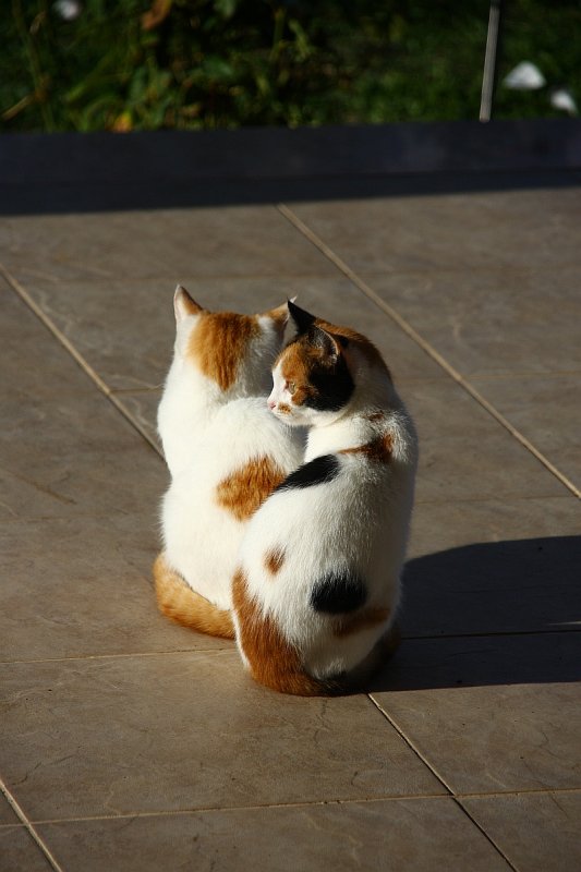 Brother and sister enjoying the sun.jpg