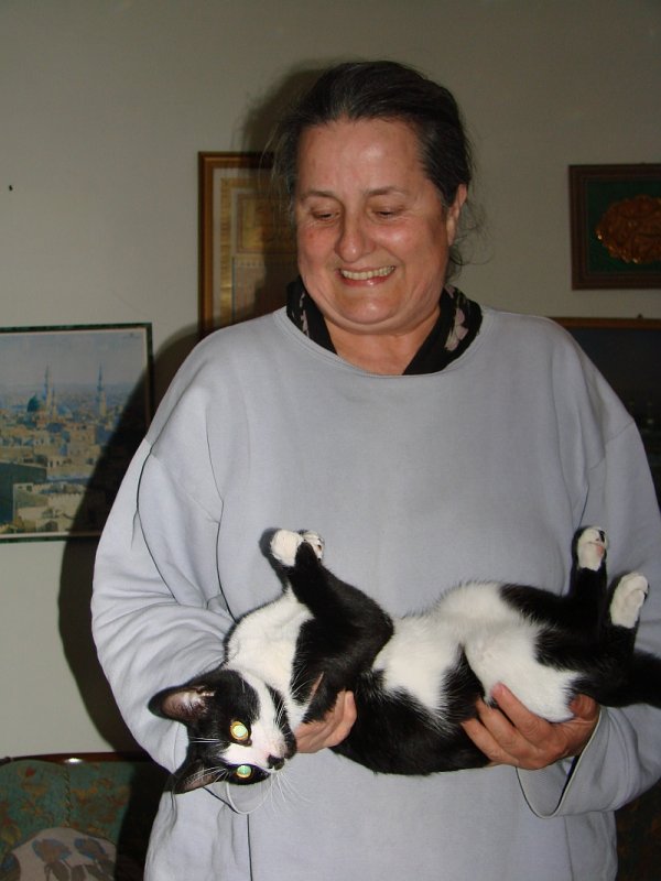 kedi12.jpg