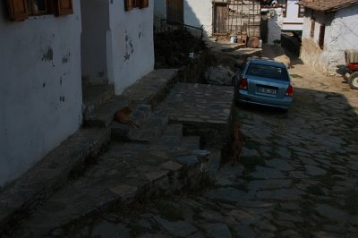 Şirince, sirince, shirince