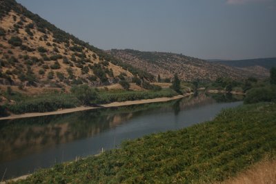 Train to Bandirma 04  the river and the grapes.jpg