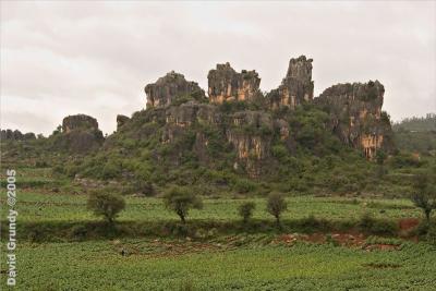 Stone forest