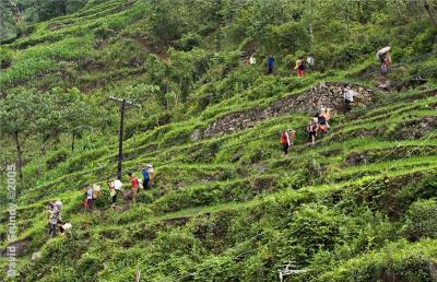 NuJiang Valley - from the hills to the market.  Minority ethnic group, literally down from the hills.