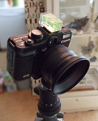 g10.jpg