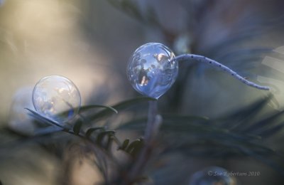 g3/73/597273/3/124549230.tdNHBUIy.jpg