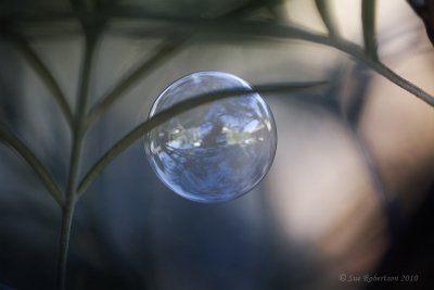 g3/73/597273/3/124549231.LNpINLWN.jpg