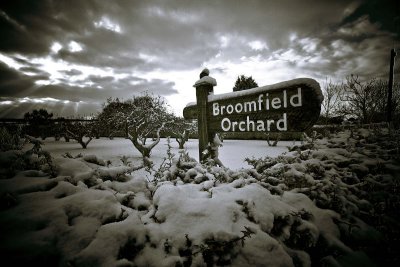 Entrance to the Orchard