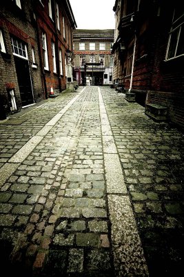 Cobbled stone paving