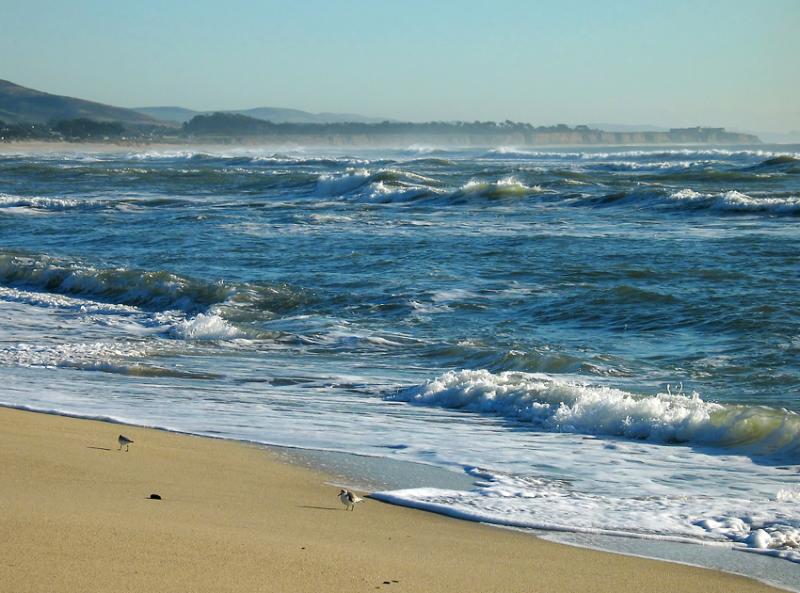 Half Moon Bay on a winter day