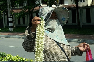 Sealing flowers on the street