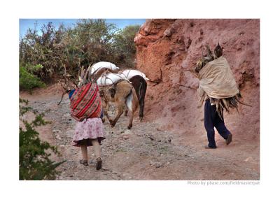 Salt and Firewood, Salinas, Peru