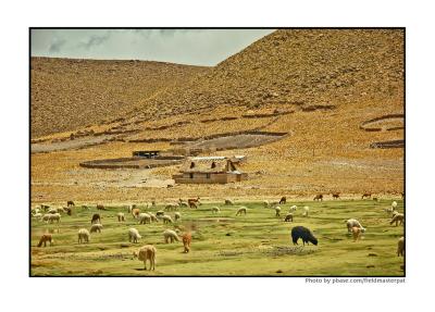 Near Colca Canyon