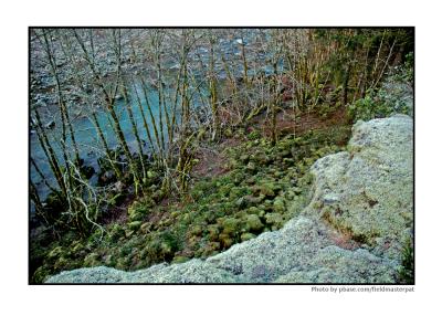 My favorite stream, WA