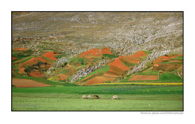 Orange Soil v. Green, Near Jauja, Peru