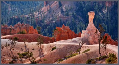 Bryce Canyon