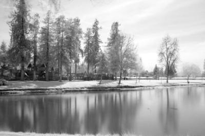 IMG_3719.jpg