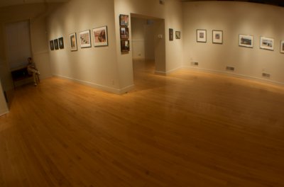 Gallery Walk-Through (2)