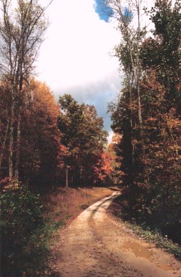 Country road in the Fall.jpg