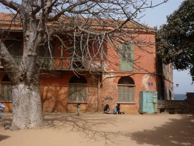 A pastel-colored house behind an interesting tree.