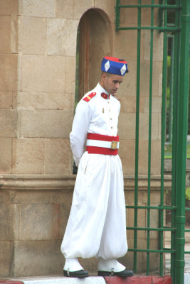 Close-up of one of the Royal Guards at the Royal Palace.