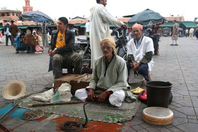 Snake charmers in the biggest square in Marrakech called Place Djemaa El-Fna.