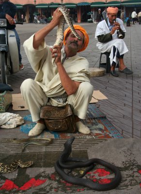 It cost me 20 Moroccan dirhams (about  $2.50 U.S. dollars) to get this snake charmer's photo!