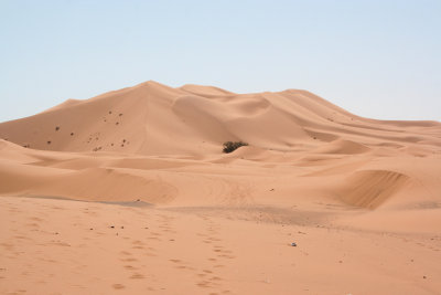 Erg Chebbi is where the real Sahara Desert starts at the village of Merzouga.  In Arabic, the word erg means dune.