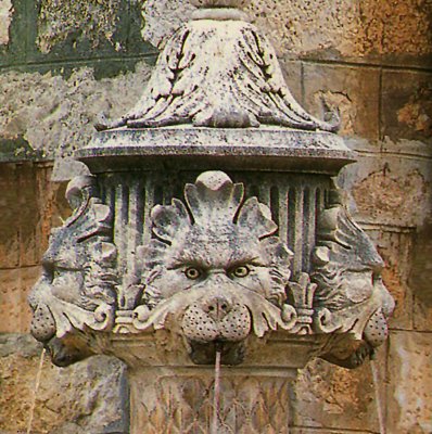 Close-up of the lions spouting water on the lion fountain
