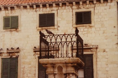 These pigeons were perched on this decorative ironwork in Dubrovnik.