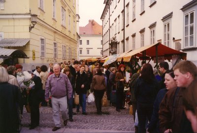 The market was crowded with shoppers.