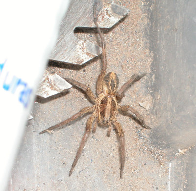 DSCN4345.JPG