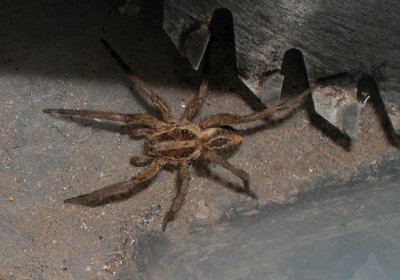 DSCN4346.JPG