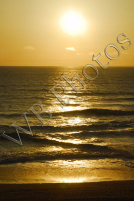 g3/73/704773/3/96016515.s8ZuQtKe.jpg