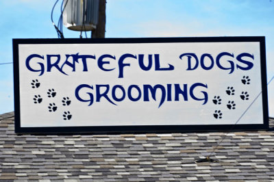 grateful dog - the dog groomer.