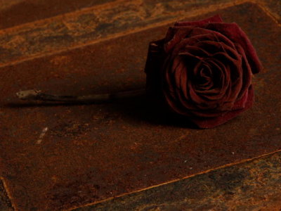 flowers005.JPG