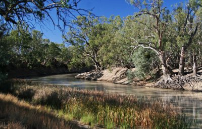 Darling River, Pooncarie, NSW