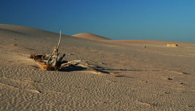 Mungo Sand Dunes