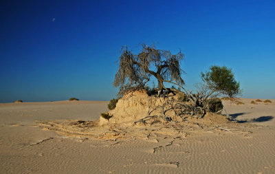 Sand Island , Mungo NP
