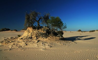 Sand Island 2,
