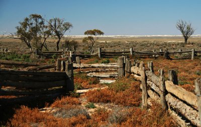 Old Sheep Yards, NSW
