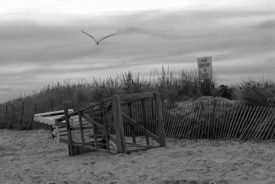 DSC_7807a.jpg