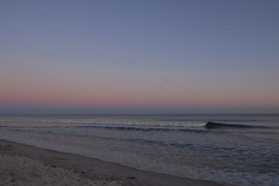 DSC_8557a.jpg