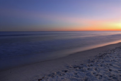DSC_8609a.jpg