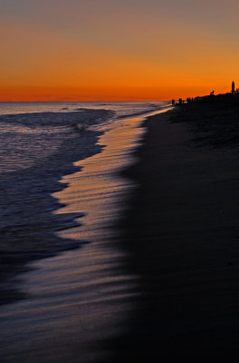 DSC_8630a.jpg