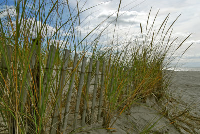 DSC_8750a.jpg
