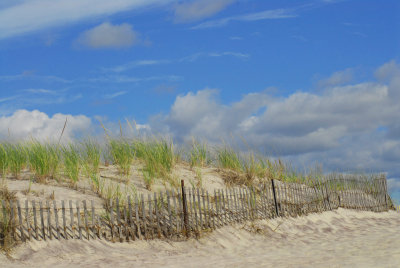 DSC_8767a.jpg