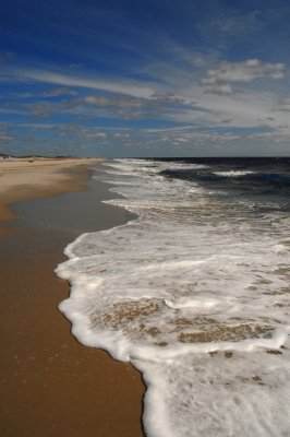 DSC_8875a.jpg