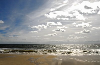 DSC_8893a.jpg