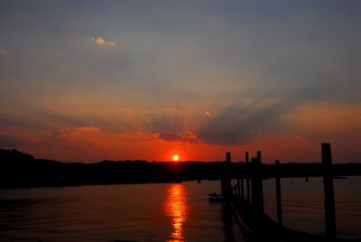 DSC_4410a.jpg