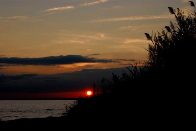 DSC_8111a.jpg