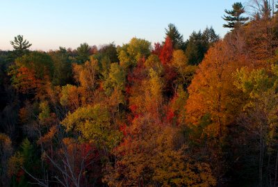 Fall  Ontario 2007